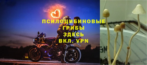 бошки Протвино