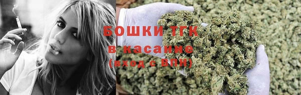 бошки Протвино