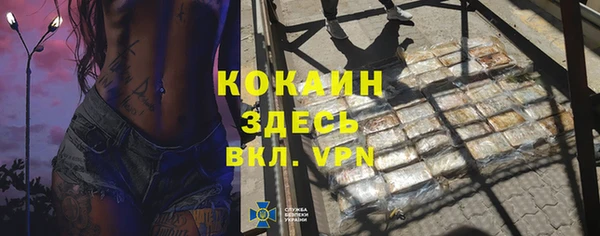 гашик Дегтярск