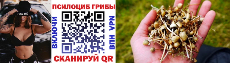 omg зеркало  закладки  Сортавала  Псилоцибиновые грибы Magic Shrooms 